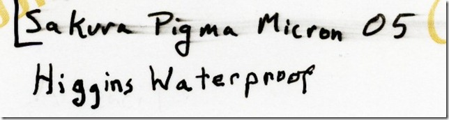 HigginsBlackMagicWaterproof-notBlotted-10min